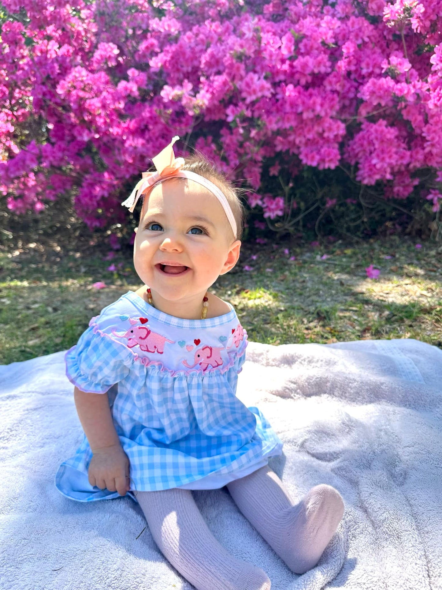 Embriodered Elephant Dress