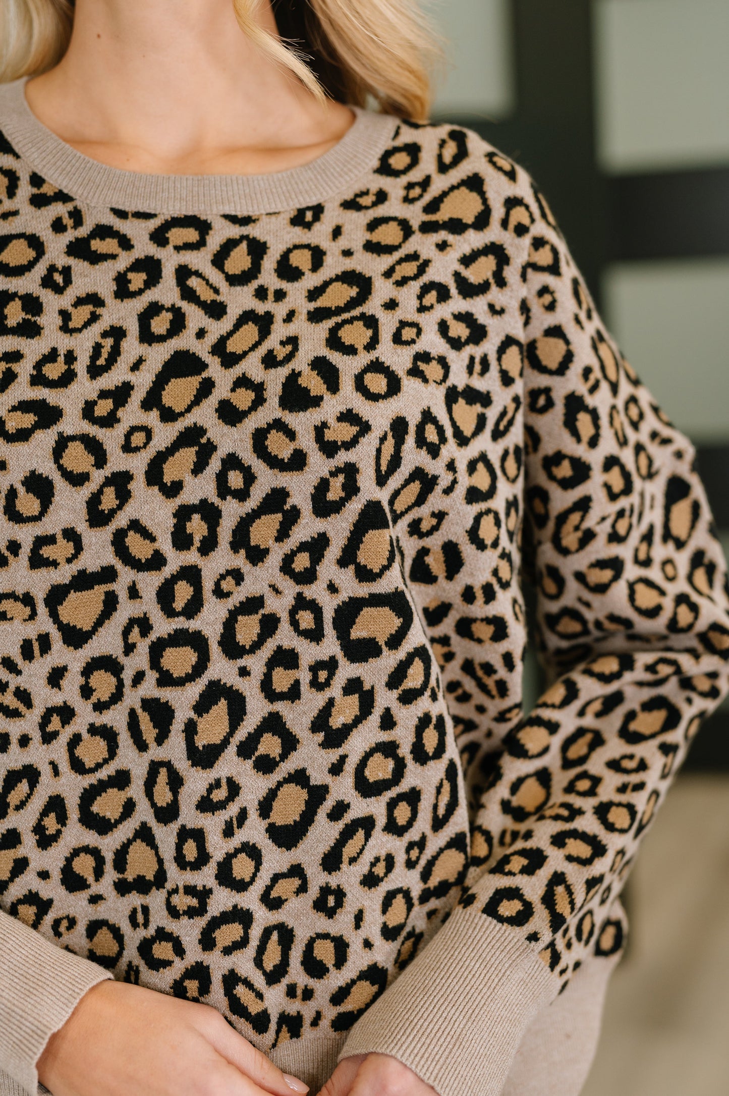 Lil' Sass Never Hurt Leopard Print Pullover Regular & Plus