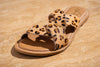 Conga Sandal in Leopard Naughty Monkey
