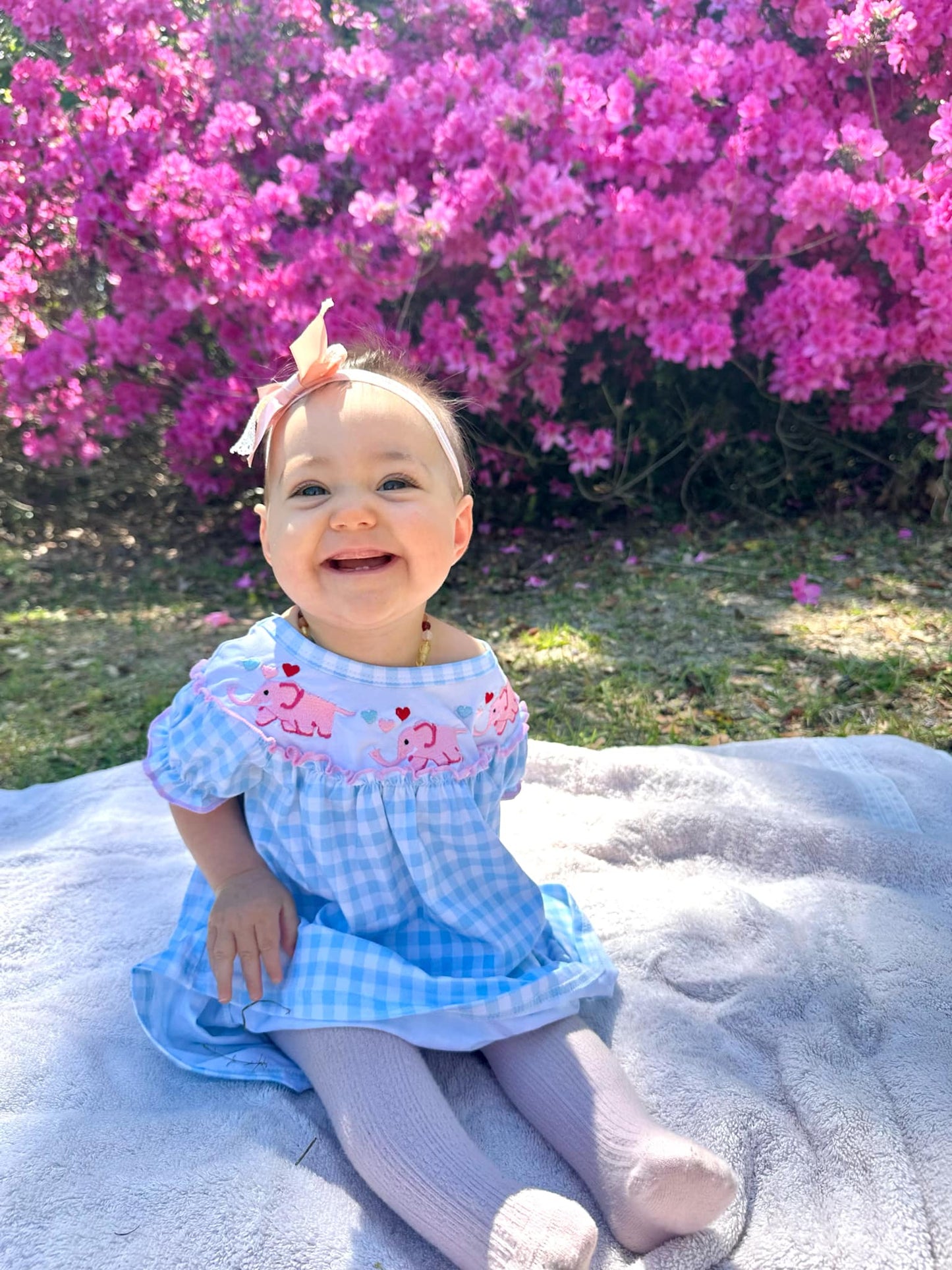 Embriodered Elephant Dress